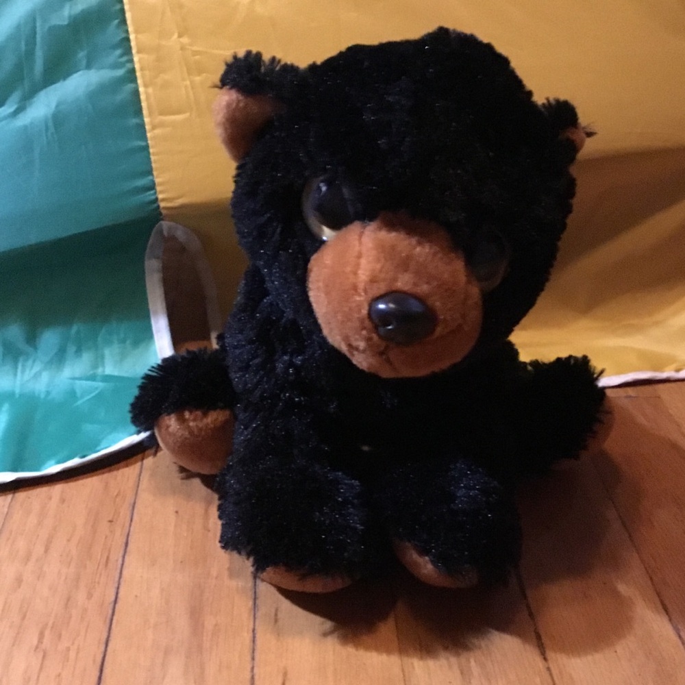 Black and Brown Plush Bear